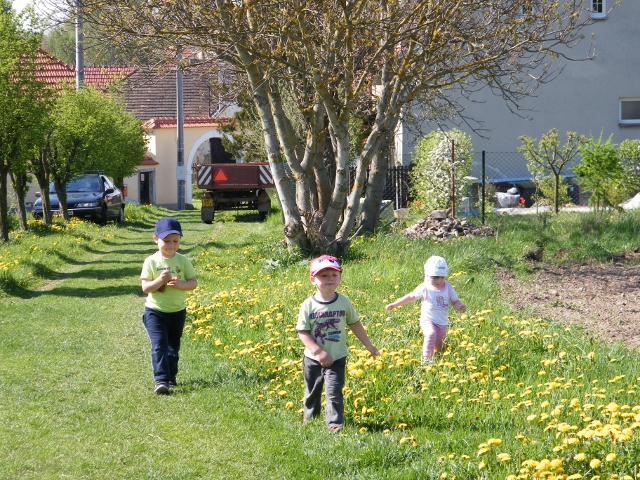 DSCF6409 (640x480)