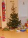 školkový stromeček s dárky na vánoční besídce